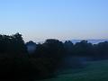 Early morning, near Beaminster P1150528